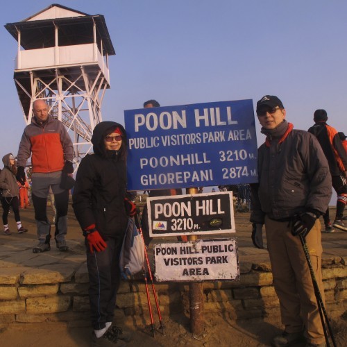 Ghorepani Poon hill trekking