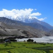 5 Best Summer Treks in Nepal