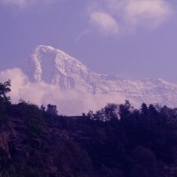 annapurna south, mountain,Ghorepani trekking, ghorepani trek,Ghorepani gate, Ghorepani Poon hIll, Ghorepani trekking nepal
